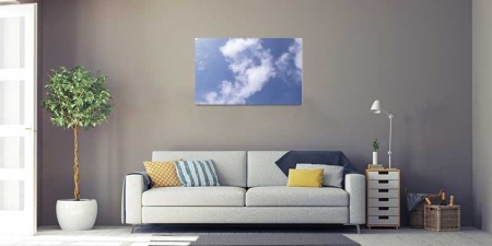 Tablou Canvas Nori Albi pe Cer