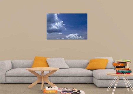 Tablou Canvas Nori Albi pe Cer