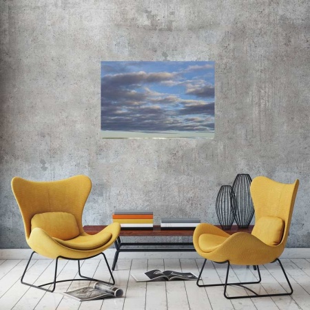Tablou Canvas Nori Albi pe Cer