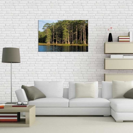 Tablou Canvas Padure