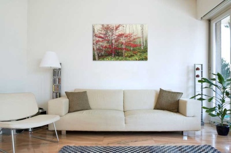 Tablou Canvas Padure