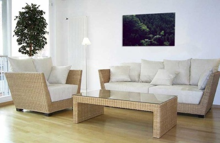 Tablou Canvas Padure