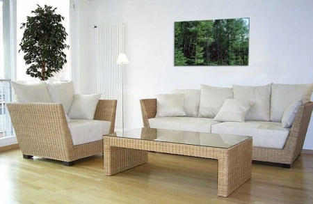 Tablou Canvas Padure