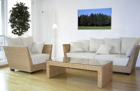 Tablou Canvas Padure