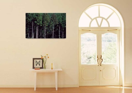Tablou Canvas Padure