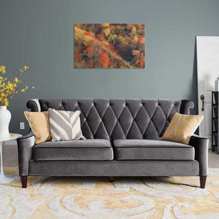 Tablou Canvas Padure
