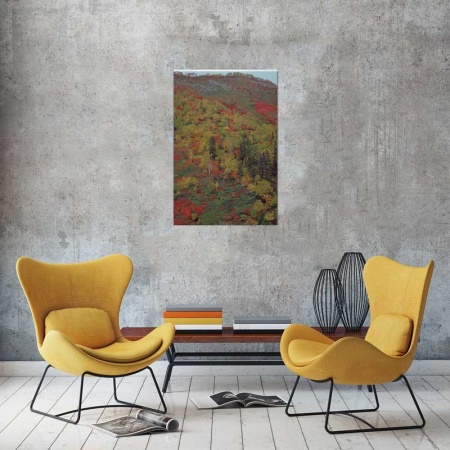 Tablou Canvas Padure