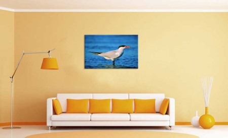 Tablou Canvas Pasare