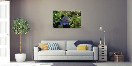 Tablou Canvas Peste
