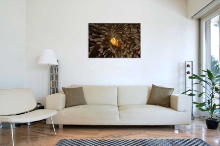 Tablou Canvas Peste