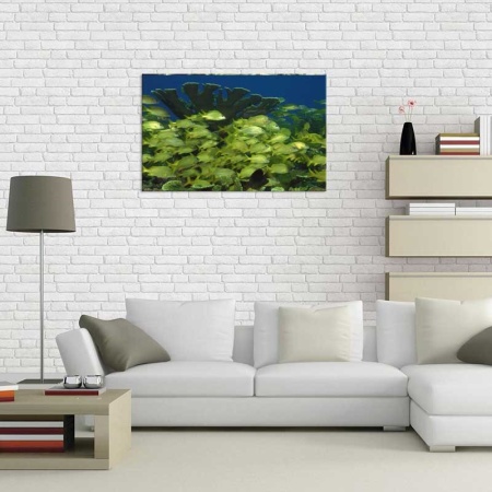 Tablou Canvas Peste