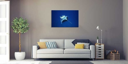 Tablou Canvas Pisica de Mare