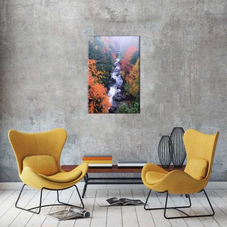Tablou Canvas Rau