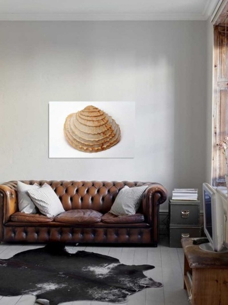 Tablou Canvas Scoica