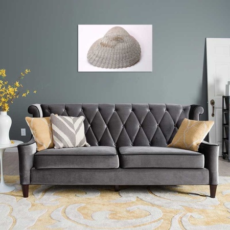 Tablou Canvas Scoica