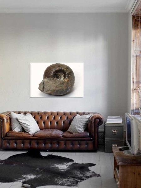 Tablou Canvas Scoica