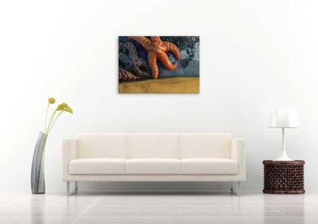 Tablou Canvas Stea de Mare