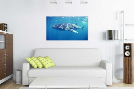 Tablou Canvas Subacvatic