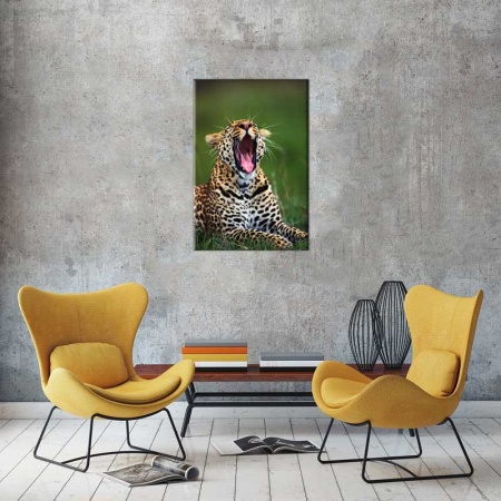 Tablou Canvas Tigru
