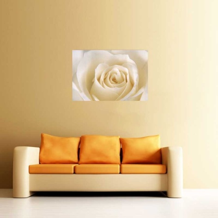 Tablou Canvas Trandafir