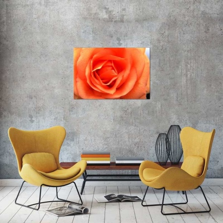 Tablou Canvas Trandafir