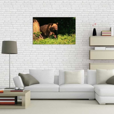 Tablou Canvas Urs