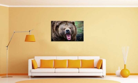 Tablou Canvas Urs