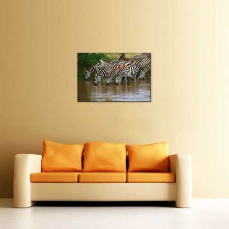 Tablou Canvas Zebre