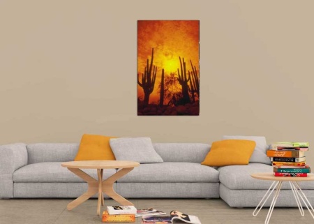 Tablou Cactus