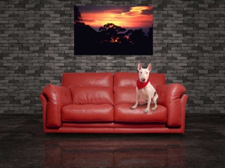 Tablou Canvas Apus de soare