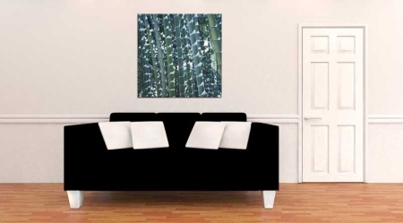 Tablou Canvas Bambus