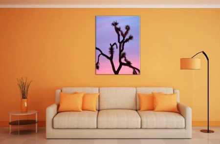 Tablou Canvas Cactus