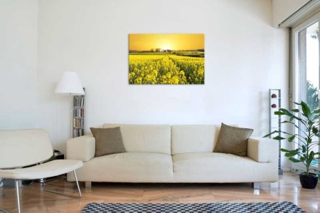 Tablou Canvas Camp cu Flori