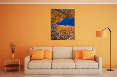 Tablou Canvas Copaci cu frunze galbene