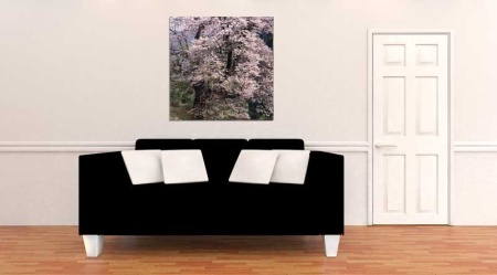 Tablou Canvas Copaci Infloriti