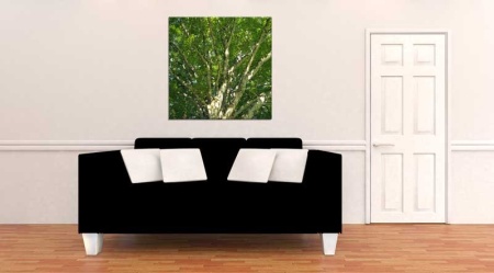 Tablou Canvas Copaci primavara