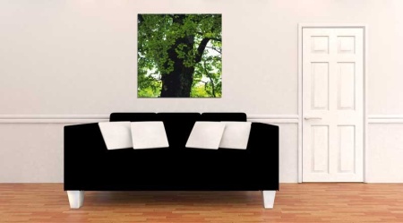 Tablou Canvas Copaci primavara
