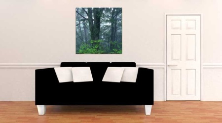 Tablou Canvas Copaci