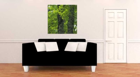 Tablou Canvas Copaci