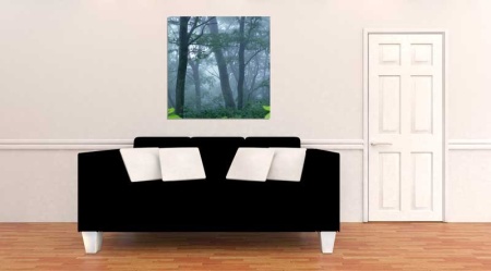 Tablou Canvas Copaci