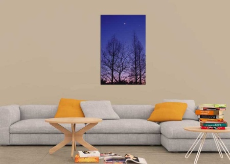 Tablou Canvas Copaci