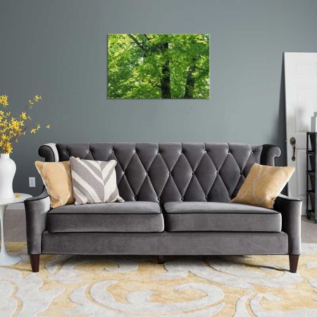 Tablou Canvas Copaci