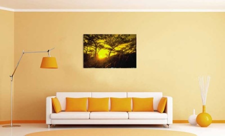 Tablou Canvas Copaci