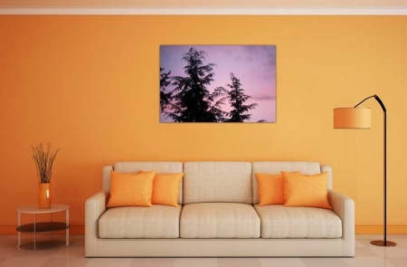 Tablou Canvas Copaci