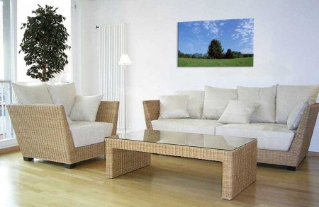 Tablou Canvas Copaci