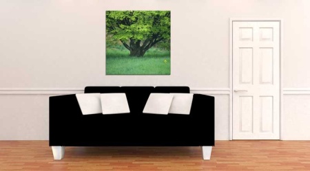 Tablou Canvas Copac