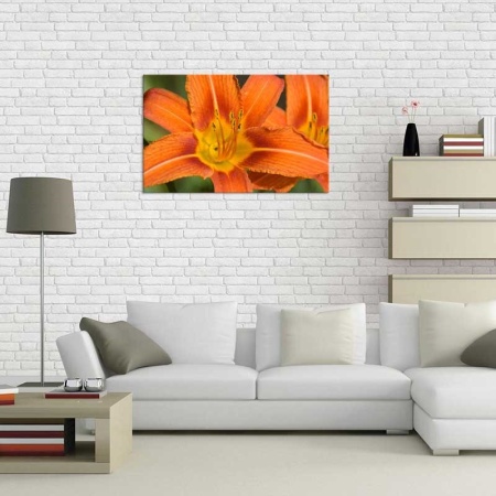 Tablou Canvas Crin Portocaliu