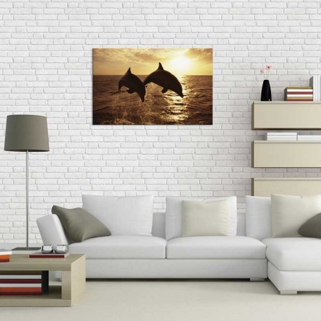 Tablou Canvas Delfini