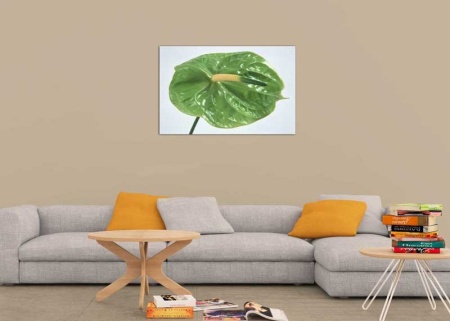 Tablou Canvas Floare Flamingo