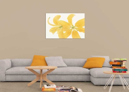 Tablou Canvas Floare